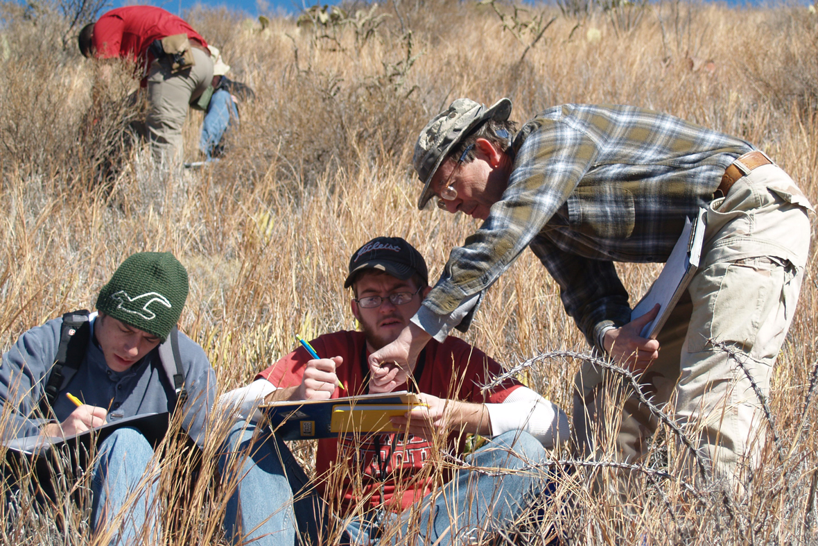 IGEA Course Requirements