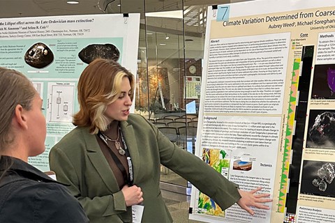 'The Year of Impact'