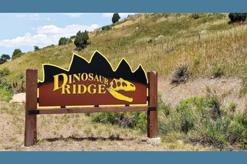 Foundation Expands Impact with New Programs, Partnerships